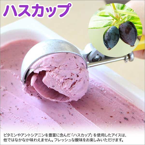 607 アイスクリーム ハスカップ ジェラート 業務用 2リットル 2l アイス 大容量 手作り 北海道 弟子屈町 北海道弟子屈町 Jre Pointが 貯まる 使える Jre Mall