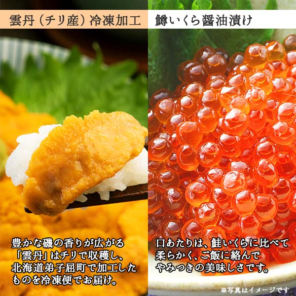 1260 訳あり うに 鱒 いくら 醤油漬け ウニ100g マスいくら 100g 雲丹 不揃い うに わけ あり 海鮮 丼 海鮮丼 刺身 うに丼 いくら丼 魚卵 自宅用 北海道 送料無料 加藤水産 北国からの贈り物 弟子屈町 北海道弟子屈町 Jre Pointが 貯まる 使える Jre Mall