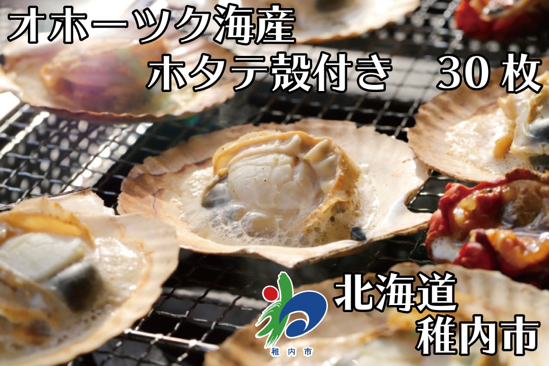 【北海道オホーツク海産】ホタテ殻付き冷凍（30枚）【20008】