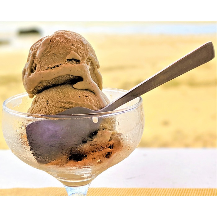 【業務用】JA稚内のおいしいアイスクリーム チョコ2000ml＆【お試し】お刺身用ほたて50g【22044】