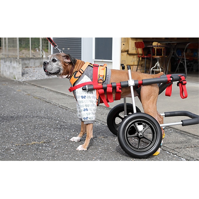 犬用の二輪車椅子