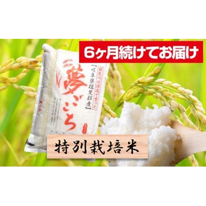 特別栽培米 頒布会 6ヶ月 毎月白米5kg 夢ごこち 岐阜県池田町 Jre Pointが 貯まる 使える Jre Mall