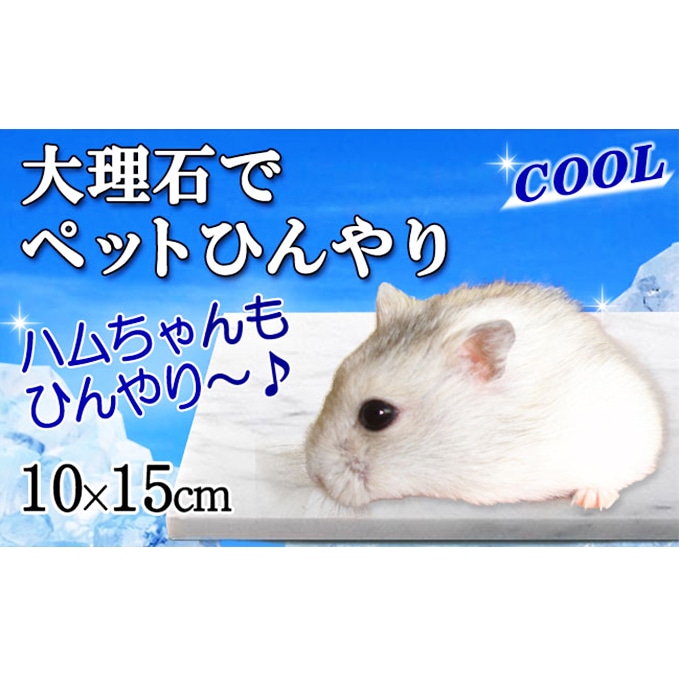 白大理石ペットひんやり ハムスター用 10 15cm 岐阜県関ケ原町 Jre Pointが 貯まる 使える Jre Mall