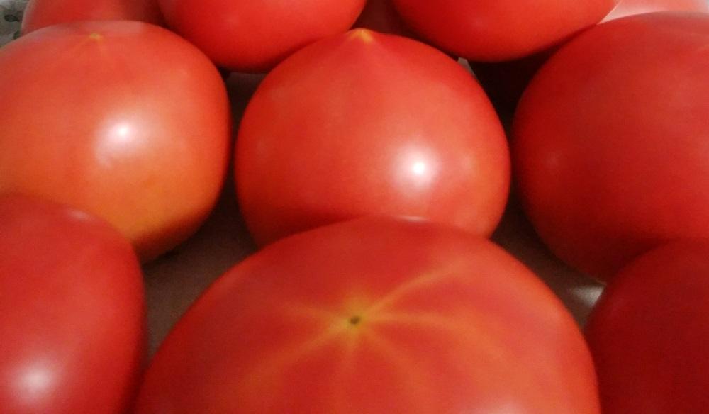 新鮮トマト100％　無添加・無着色　トマトジュース７２０ml２本セット