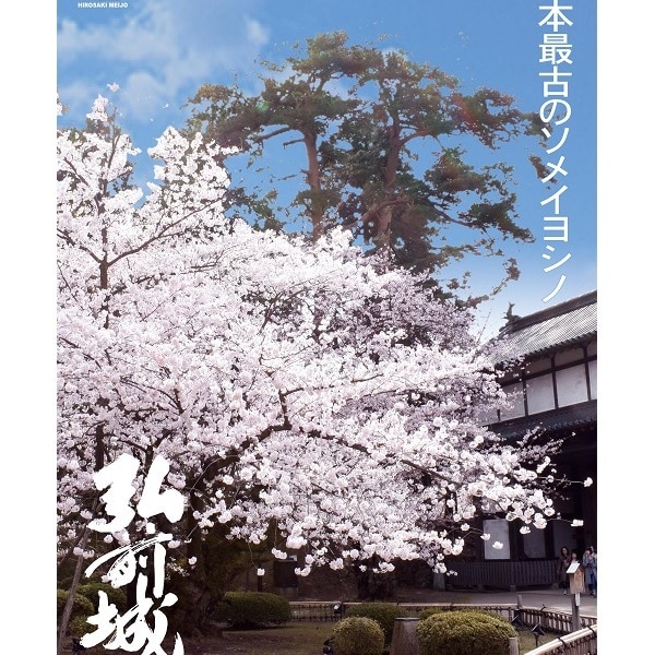 さくら酵母の 和 シードル 弘前城しいどるセット りんごと桜のコースター 青森県弘前市 Jre Pointが 貯まる 使える Jre Mall