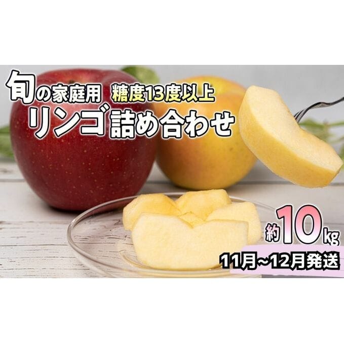 【年内発送】旬の家庭用リンゴ詰め合わせ 約10kg糖度13度以上（24〜40玉程度）【弘前市産・青森りんご】