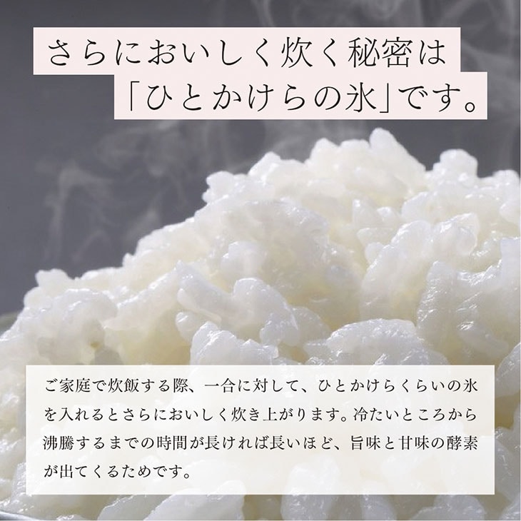 栃木県産　10kg　玄米　コシヒカリ