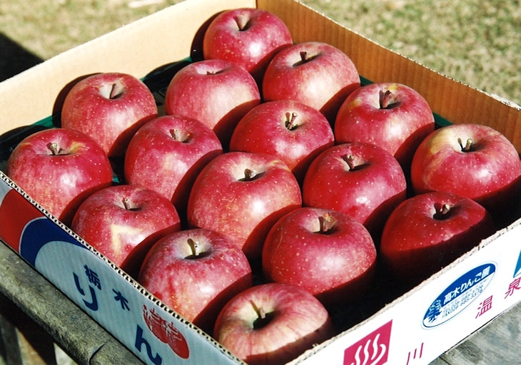 高木りんご園のりんご　5kg（14コ〜18コ入り　1箱）◆≪リンゴ サンふじ 国産 完熟 葉取らず 果物 フルーツ≫