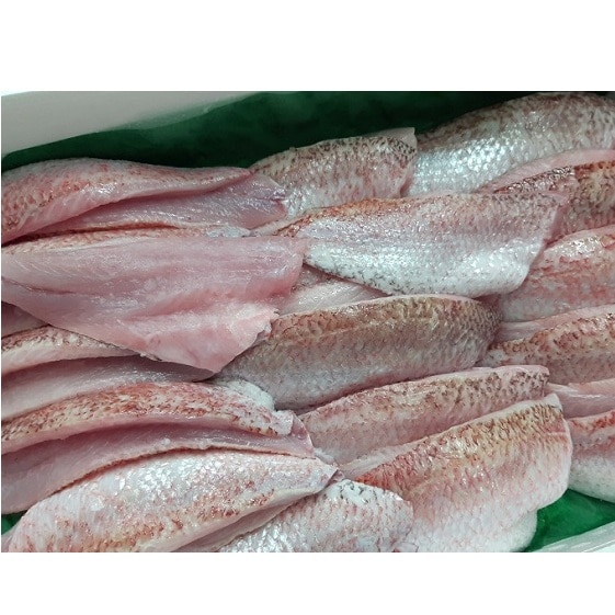 富山湾産天然のどぐろ 高級魚の切身3種セット 富山 魚津 富山湾 ハマオカ海の幸 富山県魚津市 Jre Pointが 貯まる 使える Jre Mall