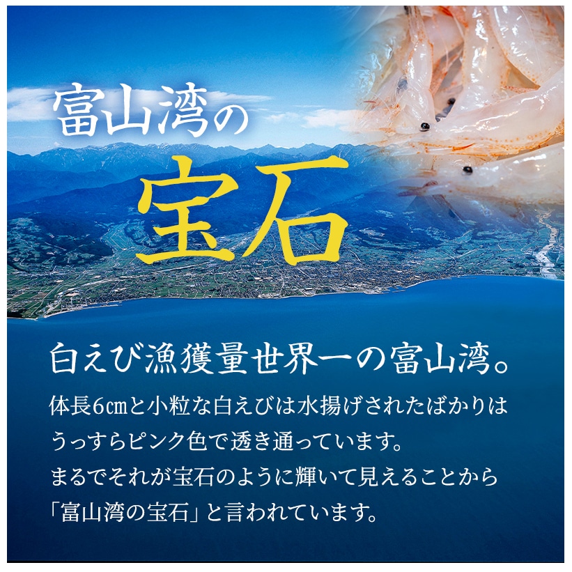 白えび刺身と白えび昆布締め 約2 3人前 白えび 白エビ 白海老 富山湾 浜浦水産 富山県魚津市 Jre Mallふるさと納税