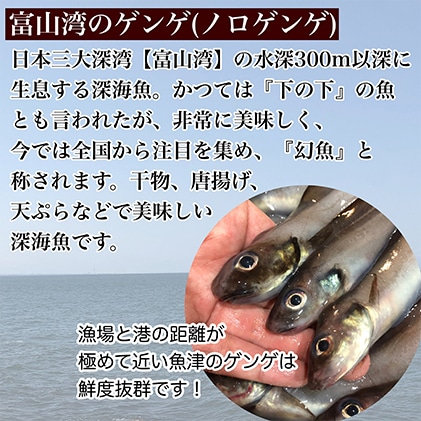富山湾深海魚 サク旨 ゲンゲの上干し 5袋 ゲンゲの干物 ハマオカ海の幸 富山県魚津市 Jre Mallふるさと納税