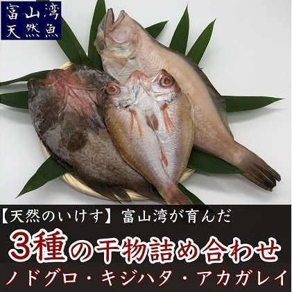 数量限定 富山湾産天然魚の干物3種詰め合わせ のどぐろ キジハタ アカガレイ 富山県魚津市 Jre Pointが 貯まる 使える Jre Mall