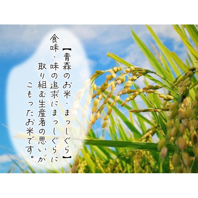 ☆ 令和4年　 　青森県産 　まっしぐら　 玄米〈30kg〉