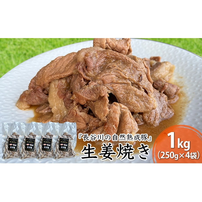 生姜焼き　1kg（250g×4袋）【湯煎でカンタン調理『長谷川の自然熟成豚』で作った生姜焼き】肉
