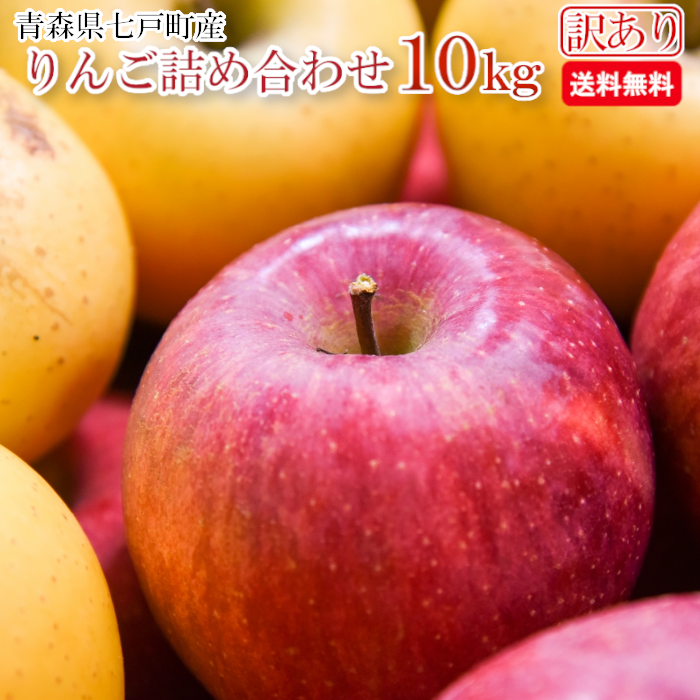 【02402-0217】【訳あり】七戸町産　りんご10kg