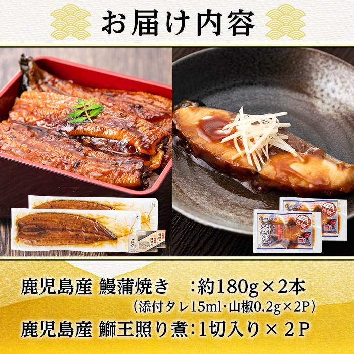 鹿児島産　鰻蒲焼きと鰤王2点セット_satsuma-714