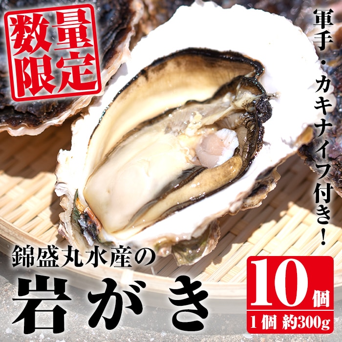 錦盛丸水産の岩がき 10個入_kinsei-763