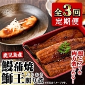 鰻蒲焼と鰤王照り煮の定期便_satsuma-909