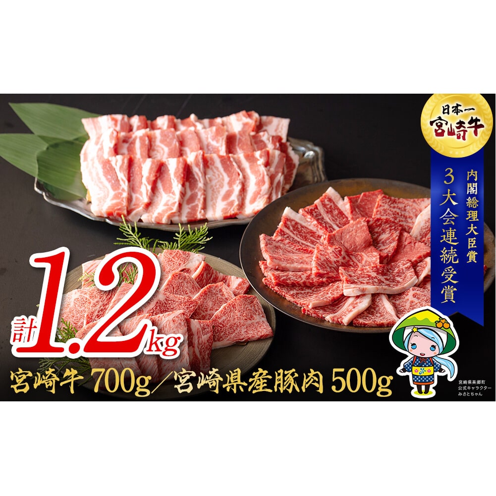 宮崎牛と宮崎県産豚焼肉セット