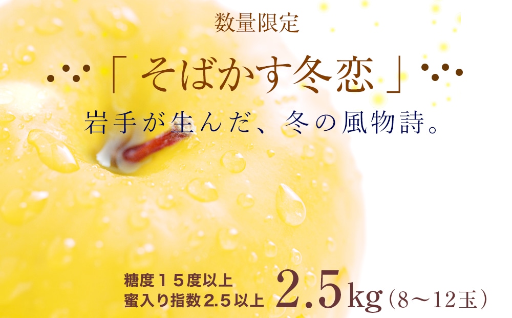 【数量限定】12月発送　糖度15.0以上　『そばかす冬恋』2.5ｋｇ（8玉〜12玉）
