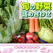 ◇旬の野菜詰め合わせBOX