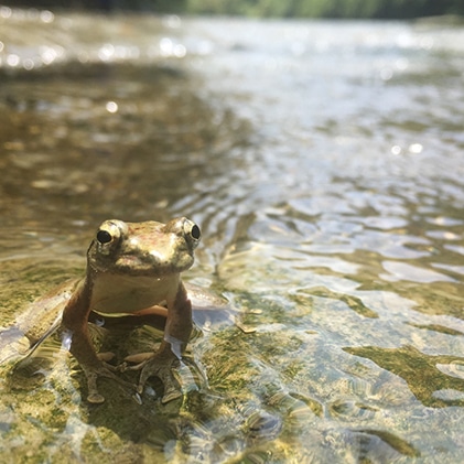 お礼の品なし ホームページで氏名掲載 チバニアン見学環境の整備に寄附を 千葉県市原市 Jre Mallふるさと納税
