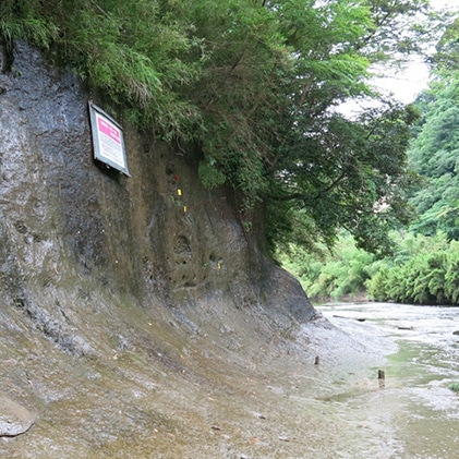 お礼の品なし ホームページで氏名掲載 チバニアン見学環境の整備に寄附を 千葉県市原市 Jre Mallふるさと納税