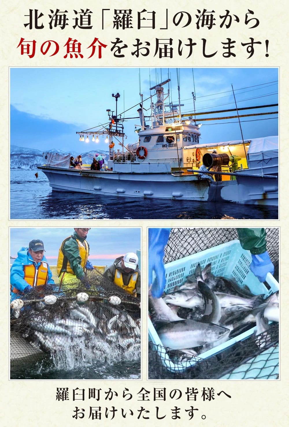 幻のえび 北海道 知床 羅臼 ぶどうえび 大 250g 5 6尾 F21m 544 北海道羅臼町 Jre Pointが 貯まる 使える Jre Mall 幻のえび 北海道 知床 羅臼 ぶどうえび 大 250g 5 6尾 F21m 544 北海道羅臼町 Jre Pointが 貯まる 使える Jre Mall