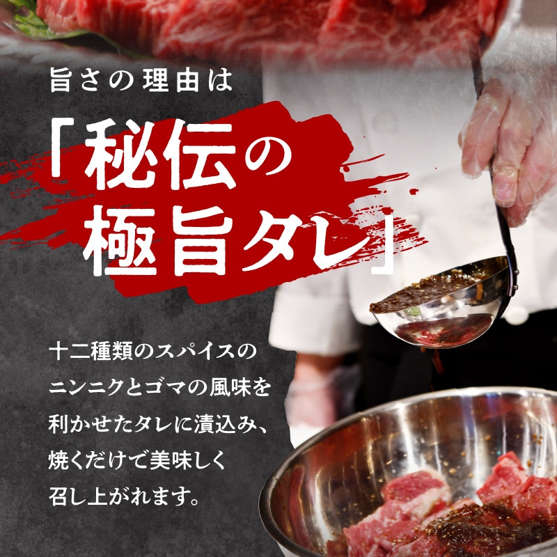 秘伝の極旨タレ漬け 牛肉 焼肉セット 野菜入り 2人前 500g 250g 2 ミスジ ザブトン 焼き肉 希少部位 2種 赤身 小分け 焼くだけ 簡単 期間限定 大阪府泉佐野市 Jre Mallふるさと納税