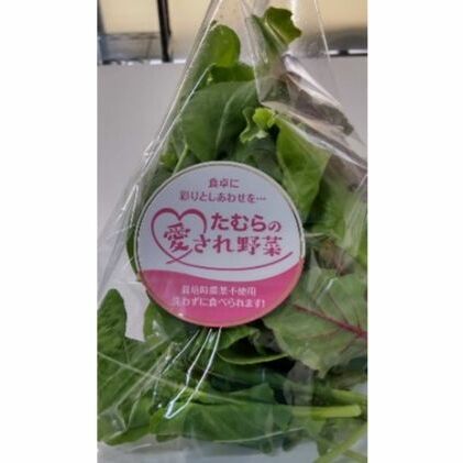 洗わずに食べられる たむらの愛され野菜 ミックスリーフセット 10個 群馬県東吾妻町 Jre Mallふるさと納税