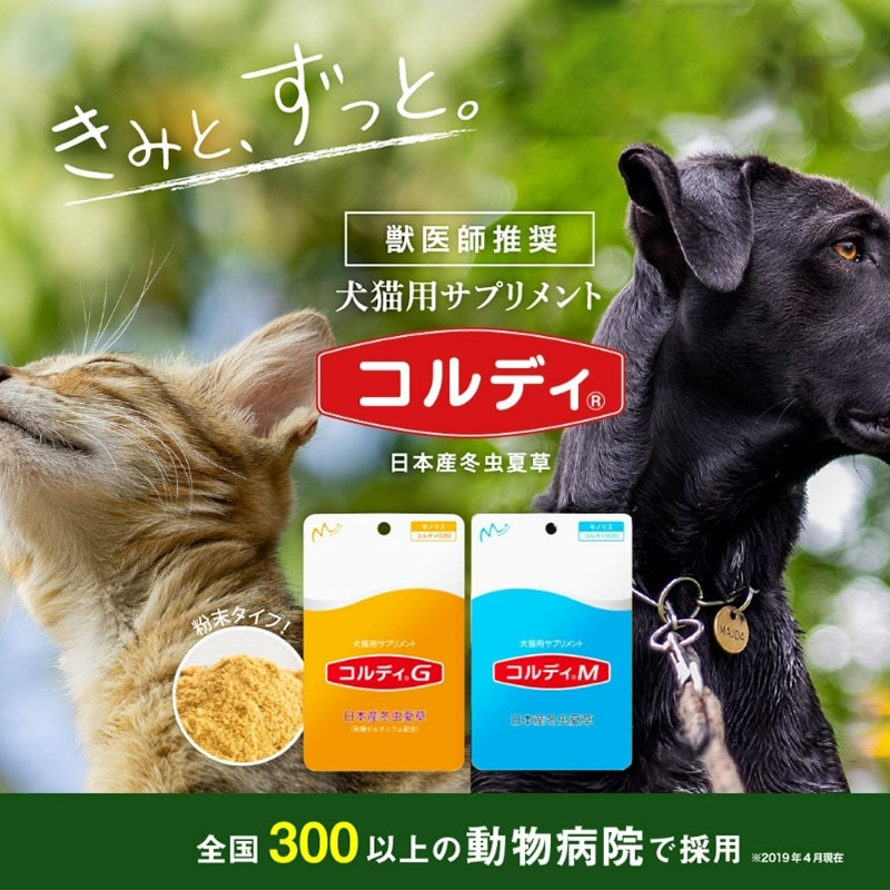 犬猫用サプリメント コルディG 日本産冬虫夏草 100g