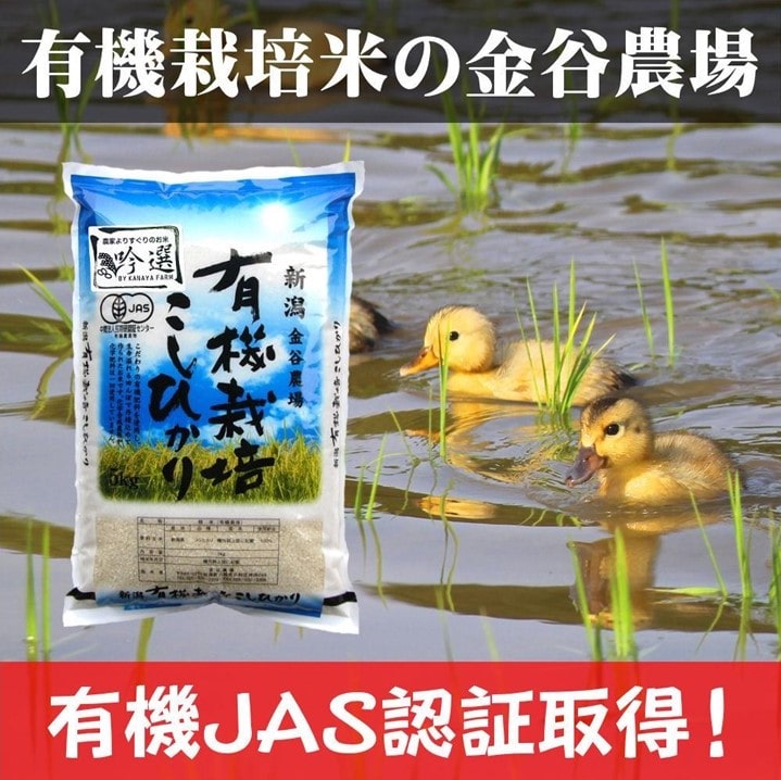 新潟県産ＪＡＳ有機栽培米コシヒカリ　玄米５ｋｇ
