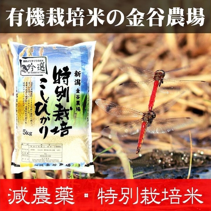 新潟県産特別栽培米コシヒカリ　白米１０ｋｇ