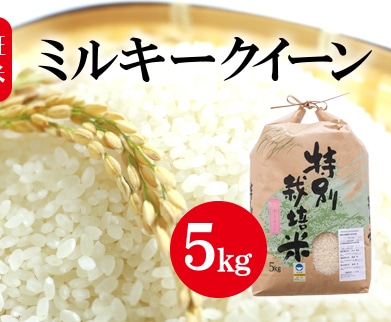 令和4年産 新米 新潟県認証特別栽培米 ミルキークイーン 5kg