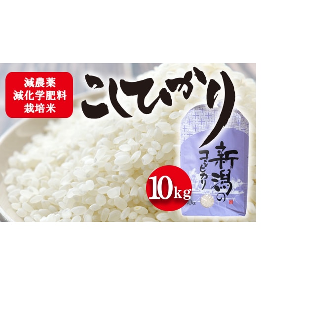 令和4年産 新米 栽培期間中減農薬・減化学肥料栽培米 こしひかり10kg