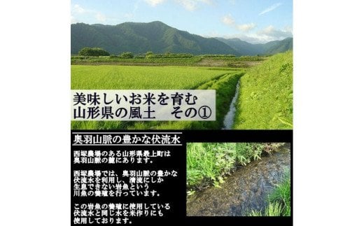 「山形県ベストアグリ賞受賞」ミルキークイーン5�s