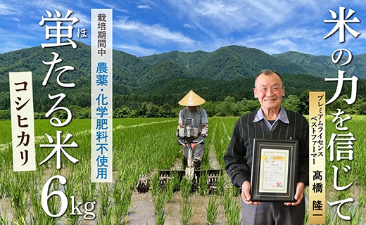 特別栽培米　蛍たる米コシヒカリ6�s