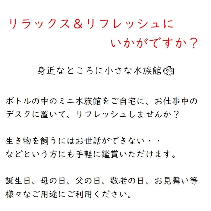 Fh010 Aquarium 熱帯魚 フラワーアレンジメント ハーバリウム 12月28日ご寄附完了まで年内発送 お歳暮 お年賀 演奏会 発表会 インテリア プレゼント ギフト 23 誕生日 オブジェ 手土産 佐賀県みやき町 Jre Mallふるさと納税