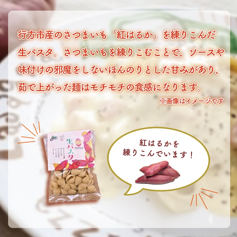 生パスタ　（コンキリエ10食分）＆トマトソース5袋｜CJ-11-