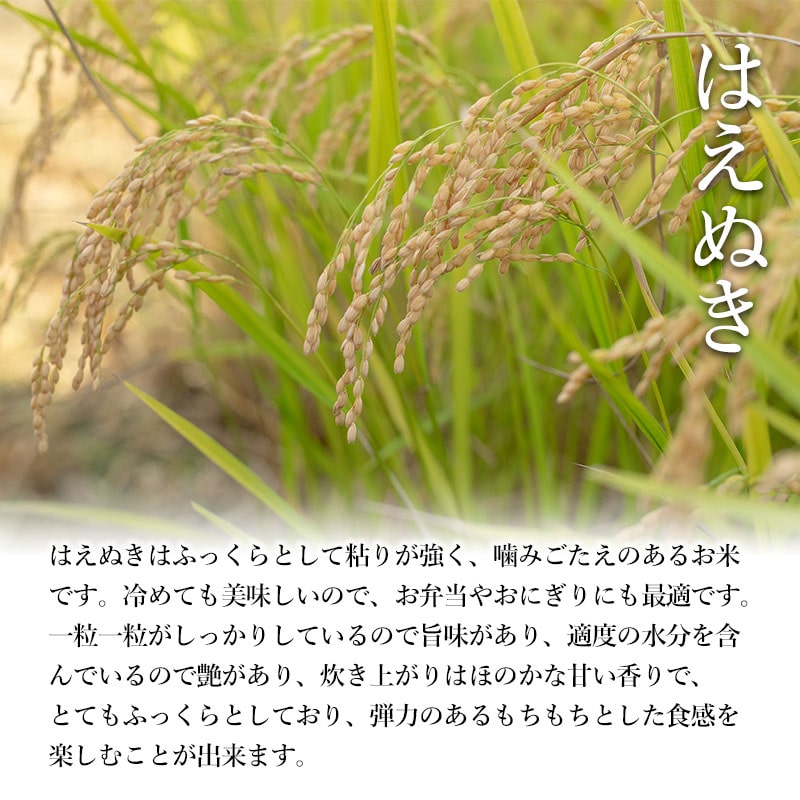 A04-019　【令和4年産米】特別栽培米はえぬき10�s（5kg×2袋）