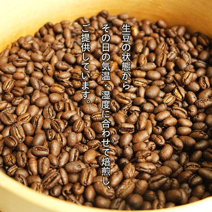 専門店 セール品数量限定今週のおススメコーヒー3種 生豆時２４０ｇ×３