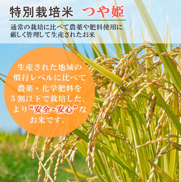 米袋 マットラミ フレブレス 特別栽培米 山形産つや姫 TSUYAHIME-1 2kg用 1ケース(500枚入) MN-0031