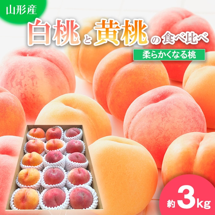 FS20-009 【令和5年産先行予約】白桃と黄桃の食べ比べ 3kg[柔らかくなる桃]