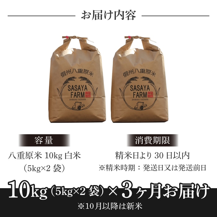ふるさと納税　10kg　精米　東御市　【3回定期便】八重原米　(5kg×2袋)-
