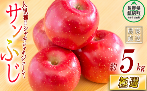 りんご サンふじ 極選 5kg マルハ農園 沖縄県への配送不可 2023年12月