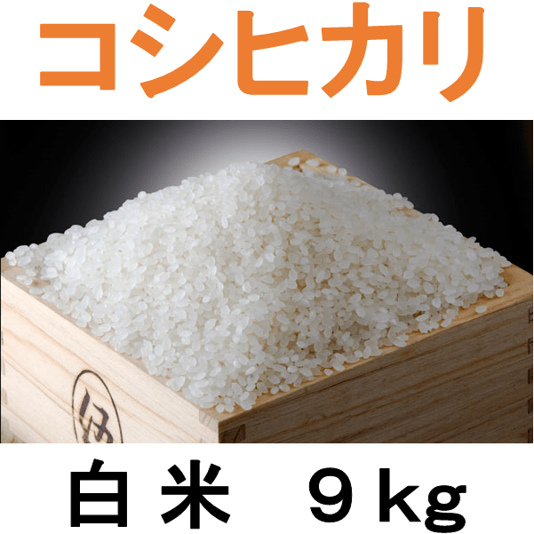 NO521 四街道産 コシヒカリ 9kg 白米 / お米 こしひかり