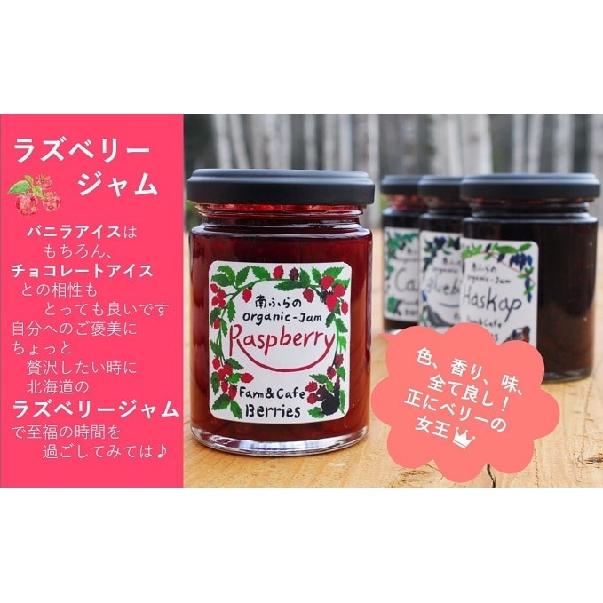 2種のベリー カシス ラズベリー 手作りジャムセット 各2個 北海道南富良野町 Jre Mallふるさと納税