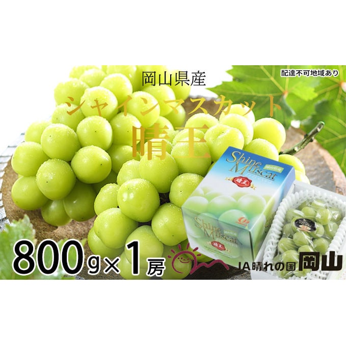 シャインマスカット 晴王 約800g×1房  岡山県産 葡萄 ぶどう 果物 フルーツ 2023年 先行予約