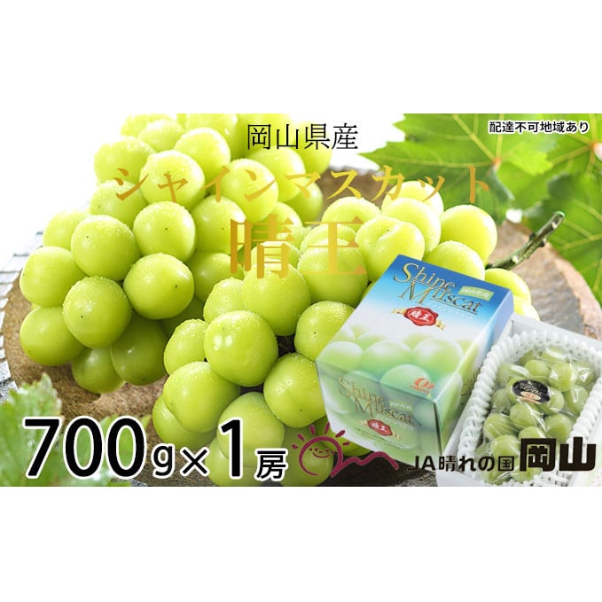 シャインマスカット 晴王 約700g×1房 岡山県産 葡萄 ぶどう 果物 フルーツ 2023年 先行予約