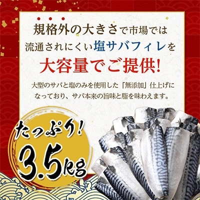 【訳あり】勝浦市の人気の海鮮お礼品 無添加 塩サバ 3.5kg【配送不可地域：離島】【1240161】